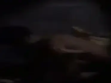 Subuh Tadi Ada Suara Plok Plok